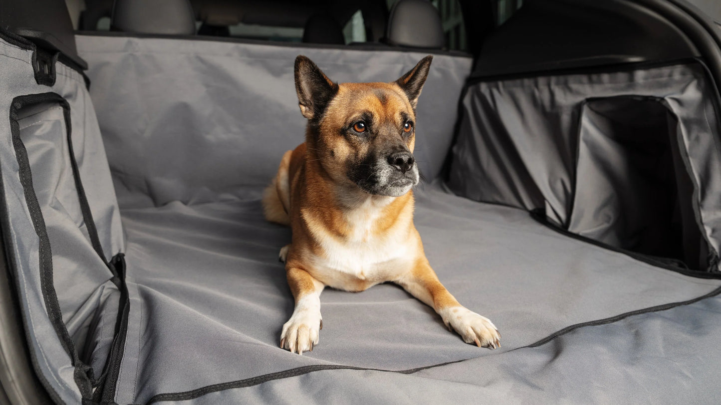 Kofferbakbeschermer voor honden, het dagelijks leven en vracht voor de Tesla Model Y